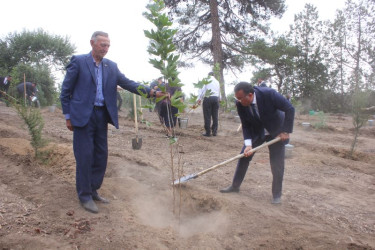 Tovuzda “27 Sentyabr – Anım Günü”nə həsr olunmuş ağacəkmə aksiyası keçirilib