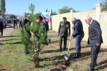 Tovuzda “27 Sentyabr - Anım Günü”nə həsr edilən ağacəkmə aksiyası keçirilib