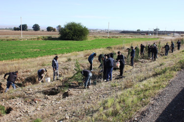 Tovuzda 8 Noyabr–Zəfər Günü ilə əlaqədar ağacəkmə aksiyası keçirilib
