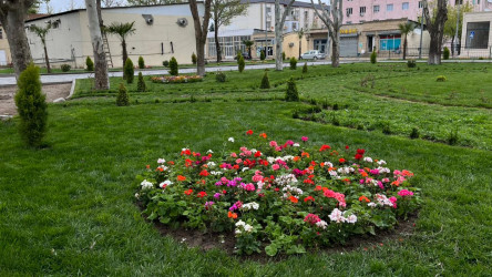 Tovuz şəhəri ərazisində yerləşən  parklarda yenidənqurma işləri aparılır