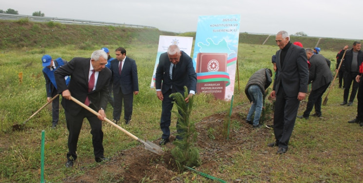 Tovuzda “Konstitusiya və Suverenlik İli”çərçivəsində ağacəkmə aksiyası keçirilib