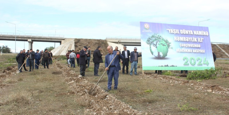 Tovuzda "Yaşıl dünya naminə həmrəylik ili" çərçivəsində ağacəkmə aksiyası keçirilib