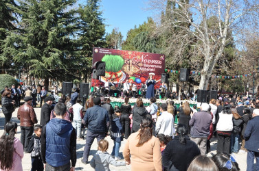 Tovuzda Novruz bayramı təntənə ilə qeyd edilib