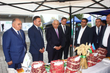 Tovuzda Aqrar Biznes Festivalı və Toxum Sərgi-Satış Yarmarkası keçirilib