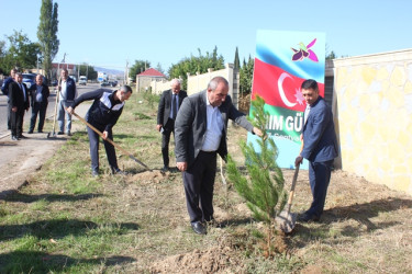 Tovuzda “27 Sentyabr - Anım Günü”nə həsr edilən ağacəkmə aksiyası keçirilib