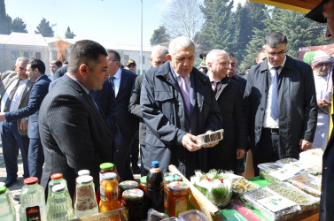 Tovuzda Novruz bayramı təntənə ilə qeyd edilib