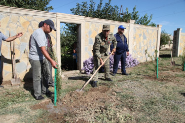 “27 sentyabr Anım Günü” ərəfəsində Tovuzda şəhidlərin xatirəsinə ağacəkmə aksiyası keçirilib