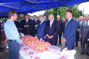 Tovuzda Aqrar Biznes Festivalı və Toxum Sərgi-Satış Yarmarkası keçirilib