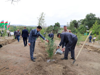 Tovuzda “27 Sentyabr – Anım Günü”nə həsr olunmuş ağacəkmə aksiyası keçirilib