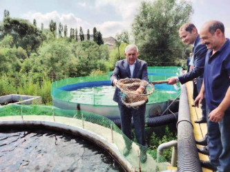 Xalq qəzeti: "Tovuzda “qızıl balıq” da yetişdirilir"