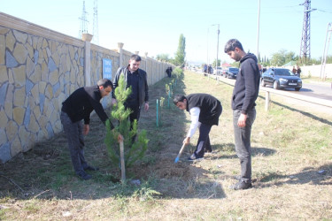 Tovuzda “27 Sentyabr - Anım Günü”nə həsr edilən ağacəkmə aksiyası keçirilib