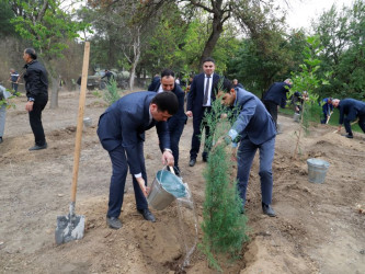 Tovuzda “27 Sentyabr – Anım Günü”nə həsr olunmuş ağacəkmə aksiyası keçirilib
