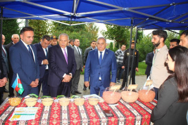 Tovuzda Aqrar Biznes Festivalı və Toxum Sərgi-Satış Yarmarkası keçirilib